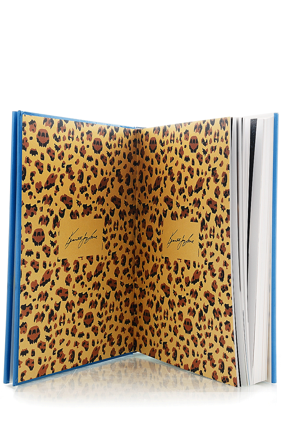 KENNETH JAY LANE SHAMELESSLY Διάσημο Βιβλίο για Κοσμήματα