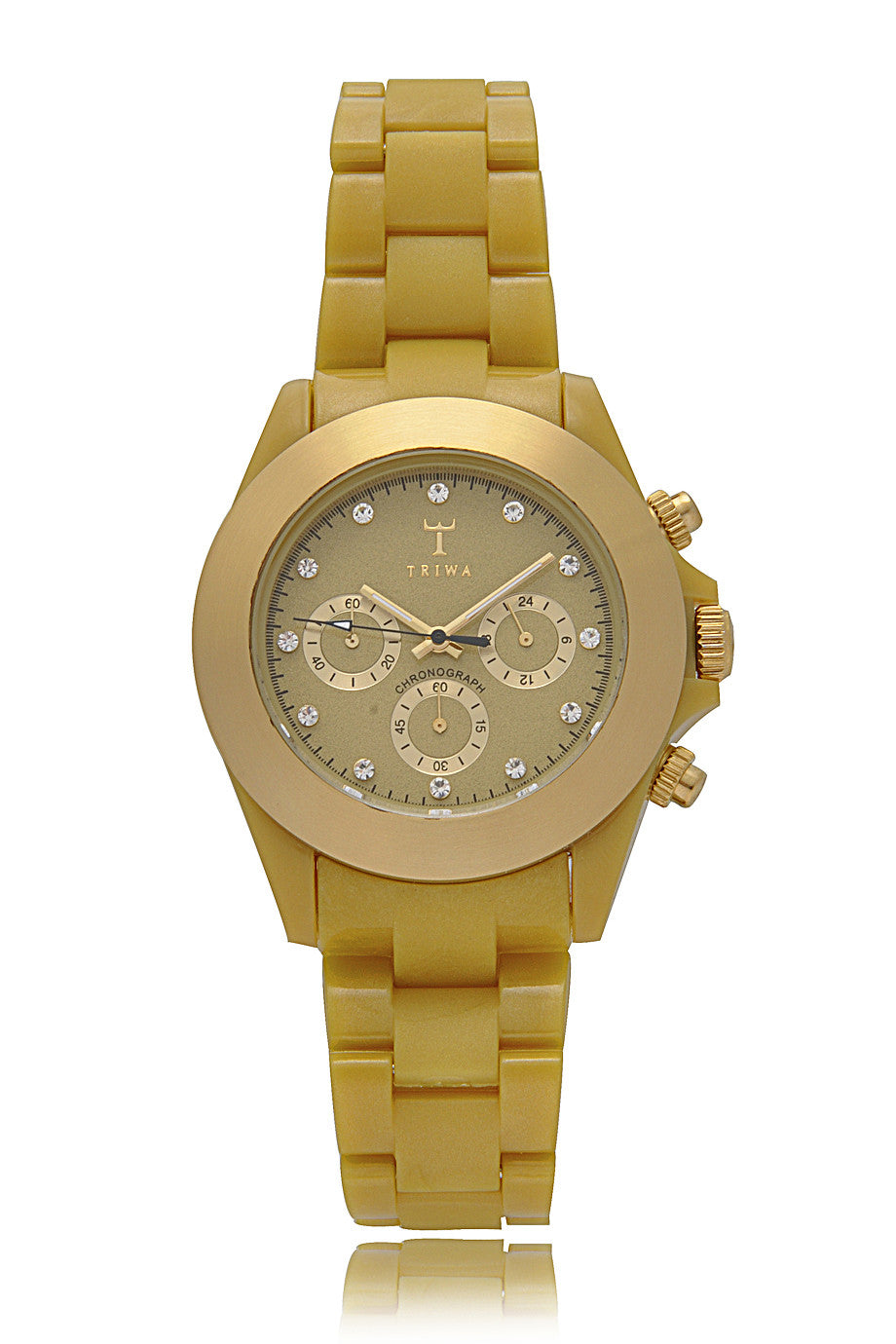 OOZOO GOLDSTONE Chrono Plastic Watch